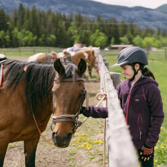 Bow Valley Equine Adaptive - BVEA - Alberta 10 Bow Valley Equine Adaptive - BVEA - Alberta 10