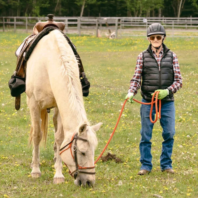 Bow Valley Equine Adaptive - BVEA - Horses - Prairie Bow Valley Equine Adaptive - BVEA - Horses - Prairie