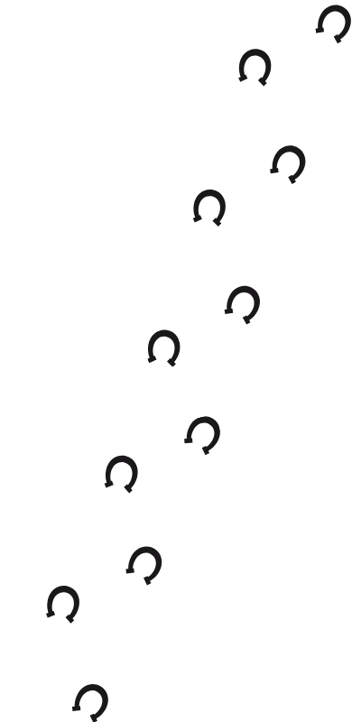 Horseshoe tracks