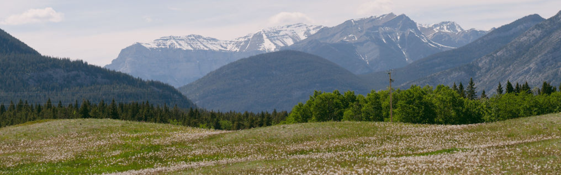 Bow Valley Equine Adaptive Volunteer Calgary Bow Valley Equine Adaptive - BVEA - Yamnuska, Alberta